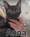 Anna