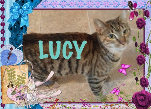 Lucy photo 6