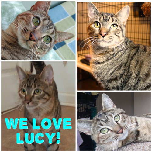 Lucy photo 3