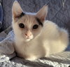 Fiona - Photo 4
