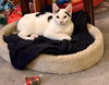 Fiona - Photo 3