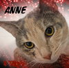 Anne - Photo 1