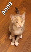 Anne - Photo 6