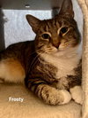 Frosty - Photo 1