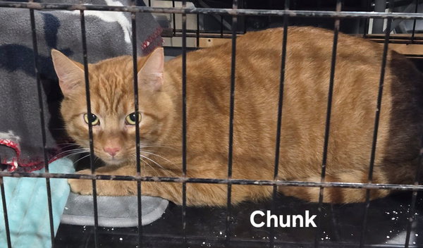 Chunk