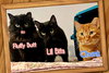 Fluffy Butts - Photo 3