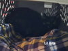 Lil Bits - Photo 5