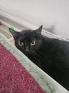 Lil Bits - Photo 6