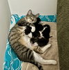 Jellybean - Photo 6