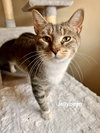 Jellybean - Photo 4