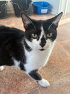 Iams - Photo 1