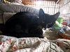 Friskies - Photo 1