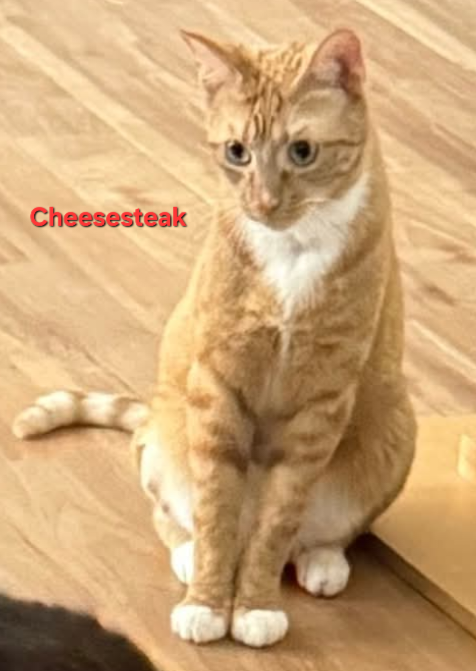 Cheesesteak