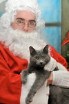 Toby - Photo 3