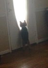 Goonie Girl