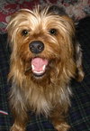 Chester
