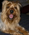 Chester