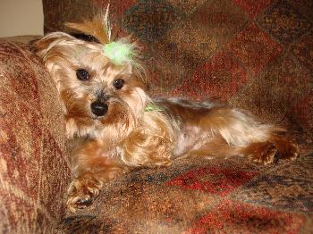 Miss Beasley