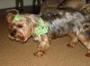 Miss Beasley