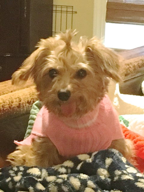 Princess Aurora