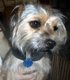 Linus