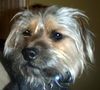 Linus