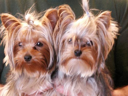 Sophie and Maggie