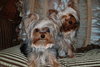 Sophie and Maggie