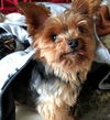 Theodore