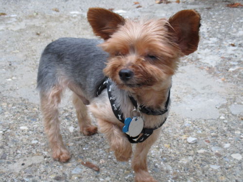 Theodore