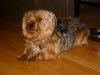 Rusty