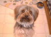 Gizzy