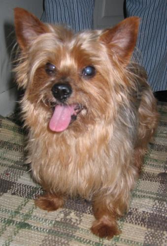 Spencer