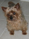 Spencer