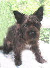 Jilly