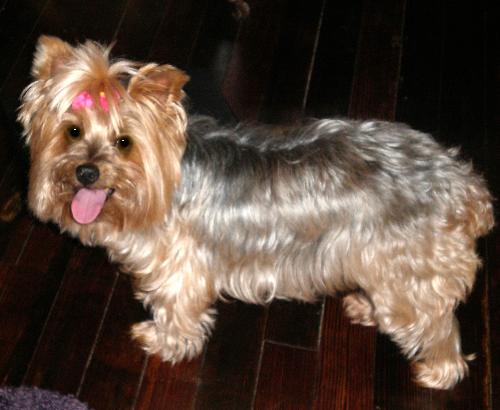 Roxy