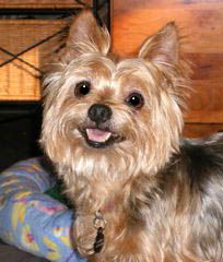 Sammy