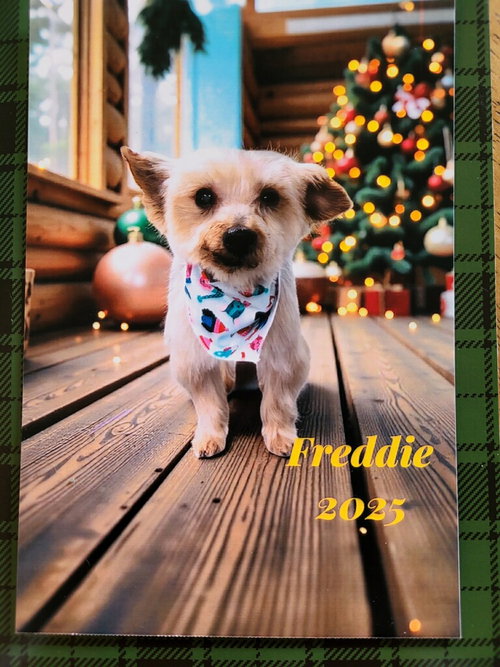Freddie