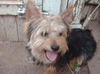 Charlie
