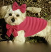 A Pearly - Photo 4