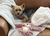 A Tilly