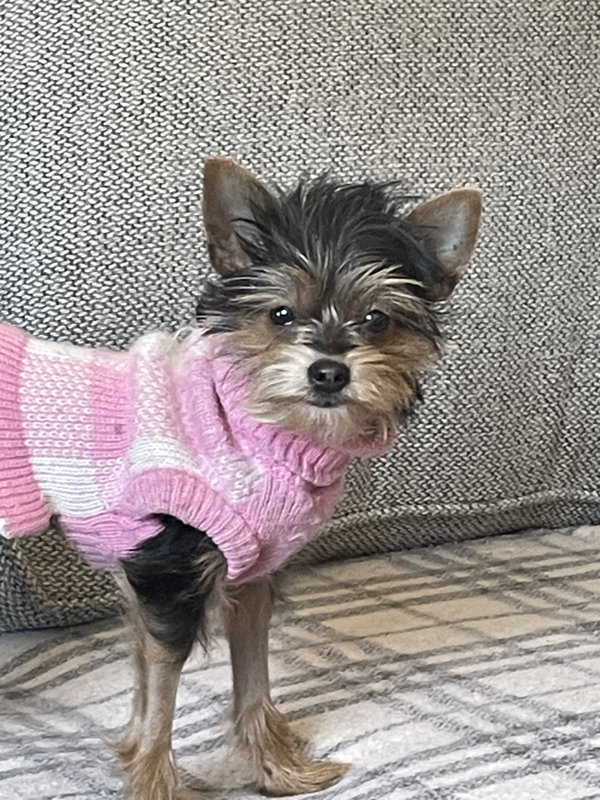 A Gia