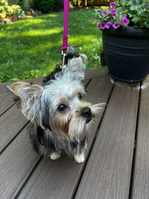 A Luci photo 6