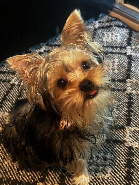 A Luci photo 2
