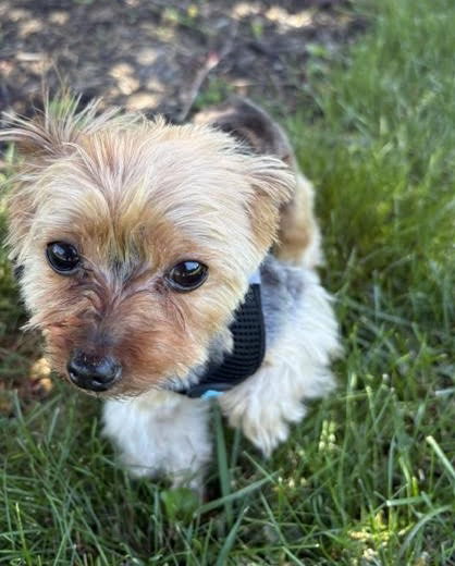 A Casey photo 3