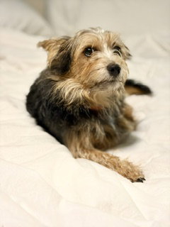 A Beckett, photo 6