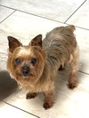 Bellissima