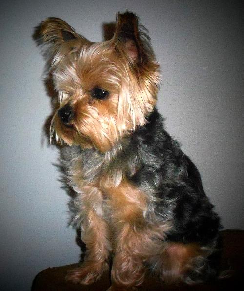 Doby