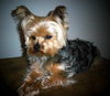 Doby