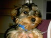 Mr. Sunshine, Sonny